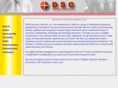 dsgins.com
