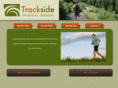 tracksidept.com