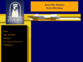 amarillovaletparking.com