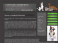 carnegiehillveterinarians.com