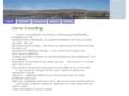 carverconsulting.com