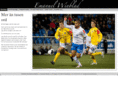 emanuelwinblad.se