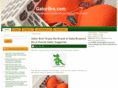 gatorbra.com