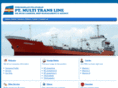 mtransline.com