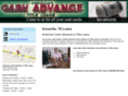 americancashadvanceandtitleloans.com