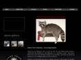 gametrailtaxidermy.com