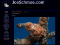 joeschmoe.com