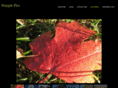 mayplepics.com