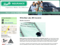 1stclassbusinessinsurancemn.com