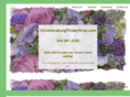 christiansburgflowershop.com