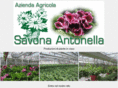 savonaantonella.com