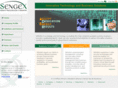 sengexllc.com