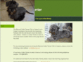 ceskyterrier.org