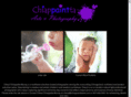 chiapaintpics.com