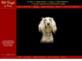chicdoggie.com