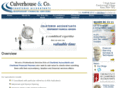 culverhouse-accountants.com