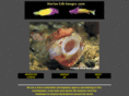 marinelifeimages.com