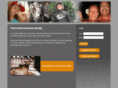 vanvorst-johnson.com