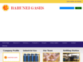 baruneigases.com