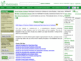 frugalbuilder.com