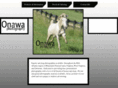 horsepix.net