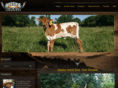 hoosiertexaslonghorns.com