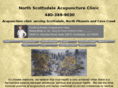 northscottsdaleacupuncture.com