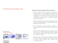 vcollab.com