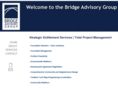 bridgeadvisorygroup.com