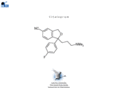 citalopram.info