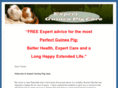 expertguineapigcare.com