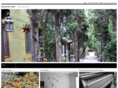 migratorybird.com