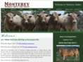 montereyonline.net