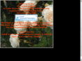 ptgarden.com