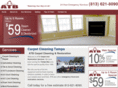 carpetcleaningtampafl.org
