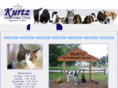 kurtzvetclinic.com