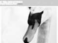 kwaldenstromphotography.com