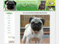 nobilpug.com