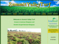 summitvalleyturf.com