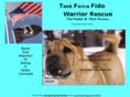 taskforcefido.com