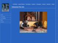 vietnam-arts.com