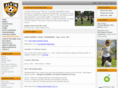 alvinsoccer.org