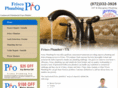 friscoplumbingpro.com
