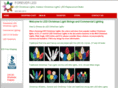 ledchristmaslightstrings.com