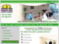 1carpetcleaningnaperville.com