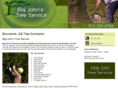 bigjohnstreeservicega.com