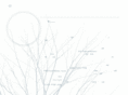 bnzx.net