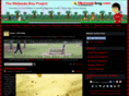 nintendoboy.com