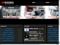 stingteam.com