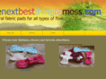 thenextbestthingtomoss.com